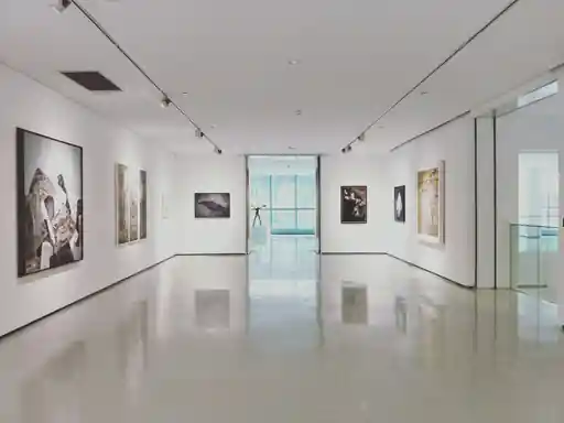 Zonas de Exposición